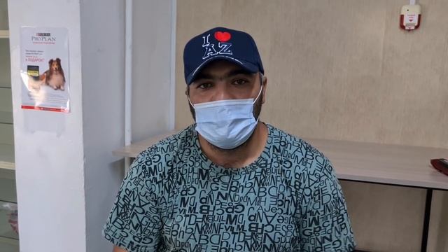 Привезли собак на стерилизацию смотреть онлайн