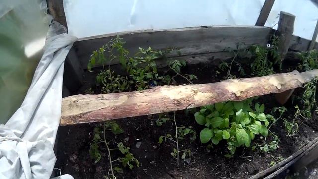 Весна пришла!! смотреть онлайн