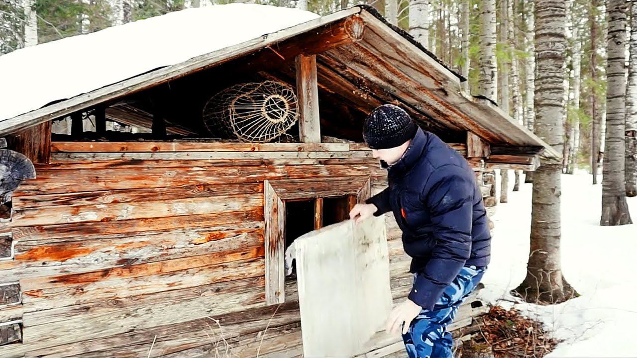 ОДИН В ТАЙГЕ / ЛЕСНАЯ ИЗБА ПРИЮТИЛА НА НОЧЬ / ТАЁЖНАЯ ЖИЗНЬ смотреть онлайн