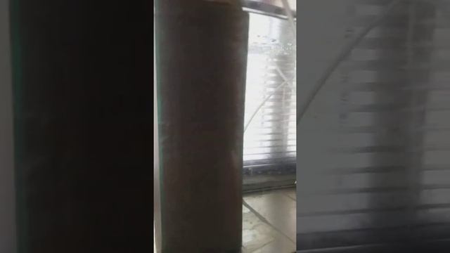 ²⁰ суток инкубации личинок креветки. Анализ косяков и изменения в кормлении. смотреть онлайн