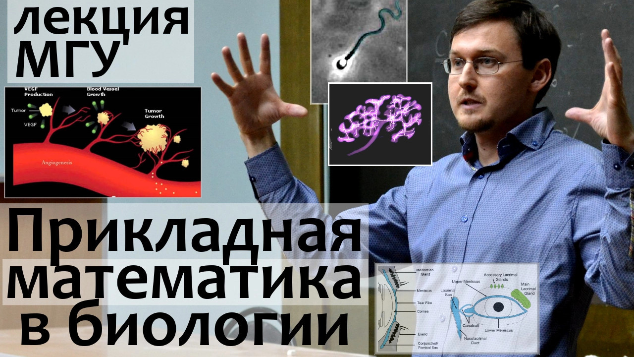 Лекции МГУ. Прикладная Математика в Биологии (Слезы, Почки и др. задачи) - Наука
