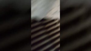 Где находиться стартер на Дэу нексия 1.6 ??