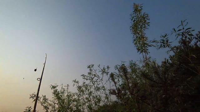 КАРАСЬ НА ДОНКУ . НА УТРЯНКЕ ПРОВЕРИЛ КАРАСЯ ПОСЛЕ НЕРЕСТА смотреть онлайн