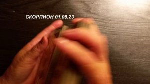 КАРТА ДНЯ СКОРПИОН 01.08.23