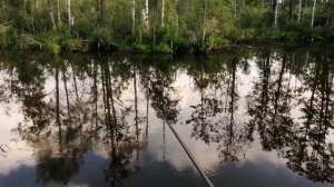 Рыбалка на торфяном карьере в июне.