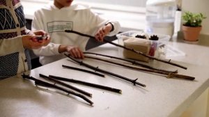 Зима, растения