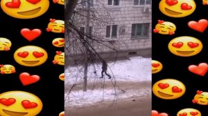 ? 10 января 2021 Если кто-то выжил..., я могу дать вам еду