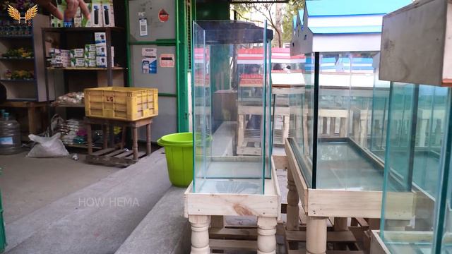 Cheapest Imported Fish Tanks 100₹ முதல் |  Pet Accessories | Kolathur Fish Market