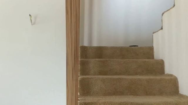 Зонирование лестницы рекой 40х40мм из массива дуба. смотреть онлайн