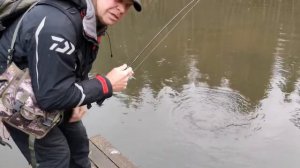 Толстолобик 7 килограмм на спиннинг с тестом до 2 г