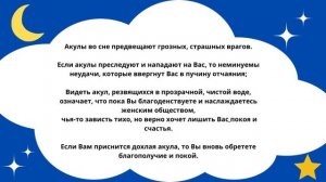 Приснилась Акула?Что это значит!Толкование сна!