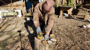 Что уже посадила? Шлифую спилы. Едем в гости в хутор Стуканов!