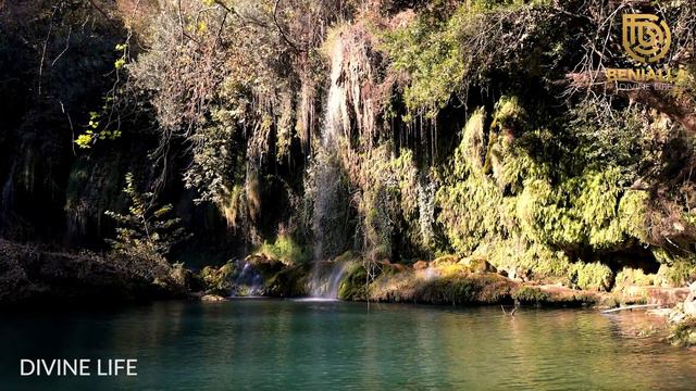 Down From Heaven | Water, and Birds Chirping Sounds | 451.8 Hz | Divine Life смотреть онлайн