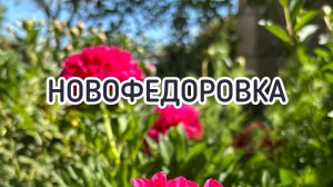 Новофедоровка 2024. Что случилось? Крым.