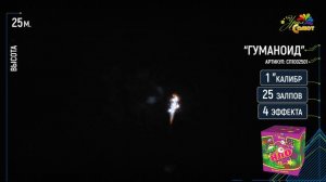 Гуманоид СП1002501