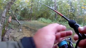 Ловля дикой форели осенью ?