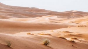 Duduk Sleep Music Desert Wind - 6 Hours - Arabian Desert Ambience Duduk Music