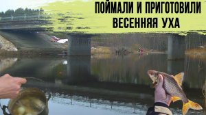 Весенняя рыбалка на донку . Ловля плотвы и приготовление ухи