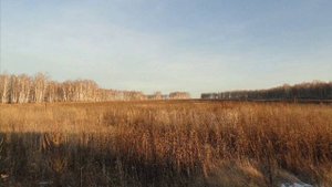 Продажа больших земельных участков в Новосибирской Области.