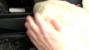 Меховые накидки на сиденья HAVAL JOLION. Меховые накидки из овчины.