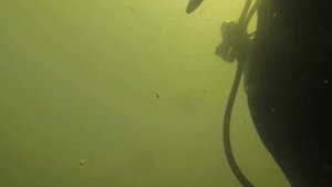 Погружение с аквалангом на свияге