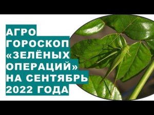 Агрогороскоп "зелёных операций" на сентябрь 2022 года