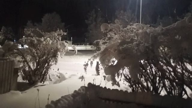 Белые березы, белые снега, белая пушистая зимушка зима. Поёт Юрий Подгорный. смотреть онлайн