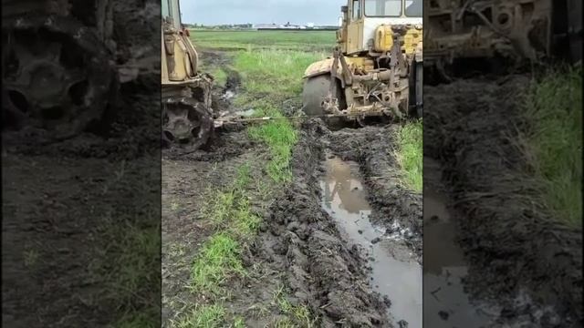 Положили Кировца до рамы в болоте | ДТ75 пытается вытащить Кировца