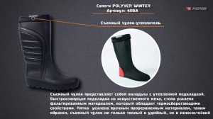 Сапоги Polyver "Winter" со съёмным чулком чёрные (40BA)