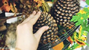 Хэллоуин в Германии ? Показываю, что продают в магазинах к празднику