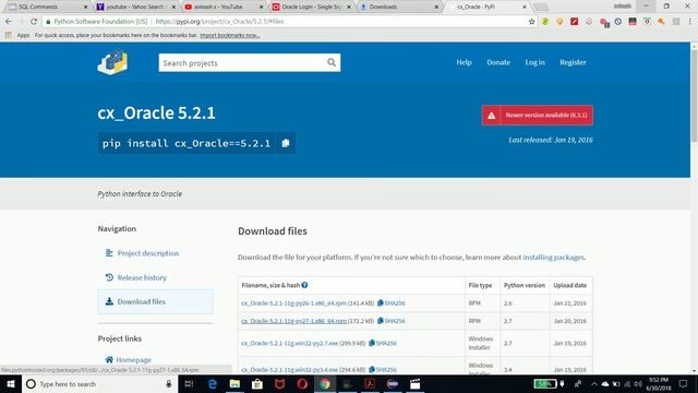 python database integration