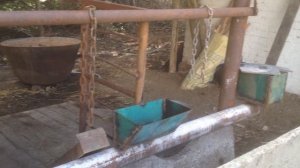 привязь и стойло для быков и коров.