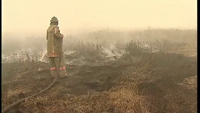 Горящие торфяники летом 2010 года, Москва