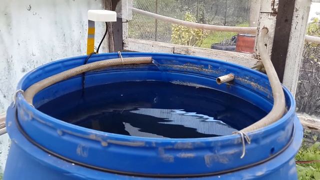 Парник: сбор дождевой воды с крыши смотреть онлайн