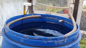 Парник: сбор дождевой воды с крыши