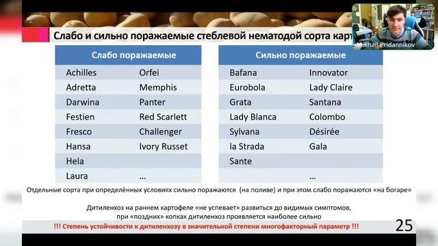 Нематоды на картофеле.