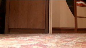 RC модель, 1:16, германского тяжелого танка Pz. VI "Тигр 1".