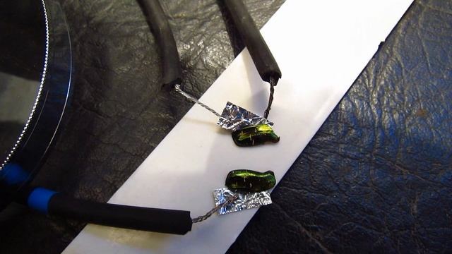 Надкрылья Бронзовки под высоким напряжением 2 (по следам Виктора Гребенникова) Grebennikov смотреть онлайн