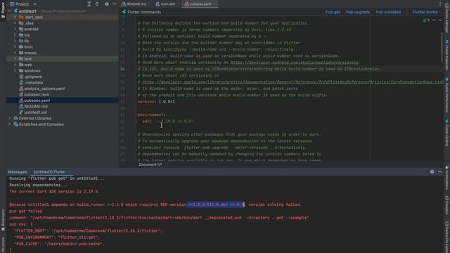 How to solve Dart SDK version not matching error