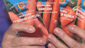 Голова садовая - Как вырастить морковь в глинистой почве