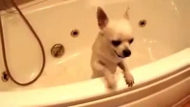 Не будите во мне зверя смотреть онлайн