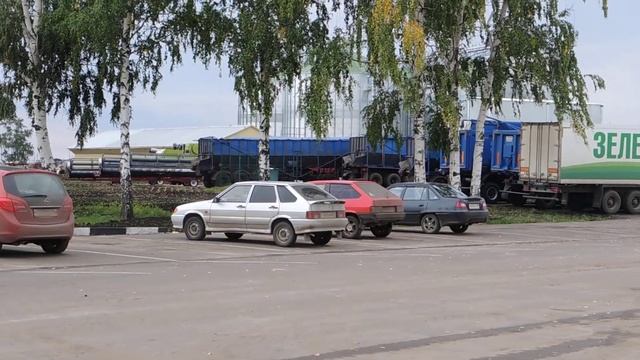 Зеленая долина. смотреть онлайн