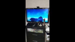 Подключение ТВ БОКС Х96 mini