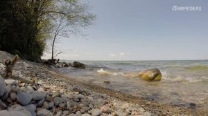 Знак Зодиака Мужчина-Телец: Характеристика и Совместимость