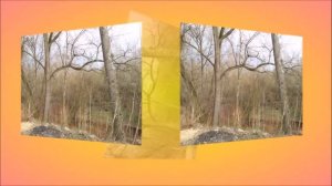 Река Котловка Москва