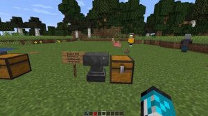 4 ИНТЕРЕСНЫХ ФАКТОВ ПРО БИРКУ В МАЙНКРАФТ