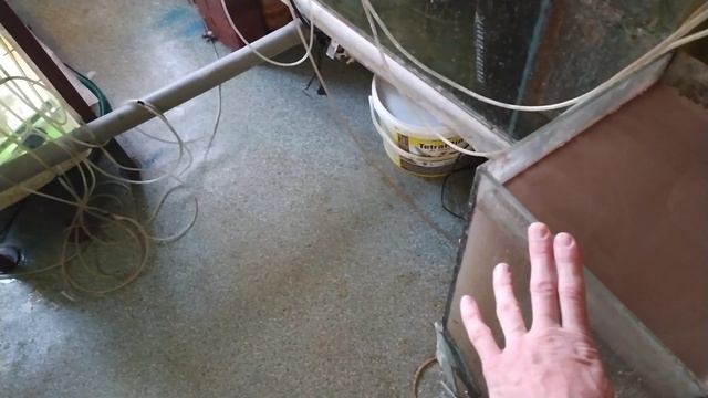 Сочинение на тему , как я провёл зимние аквариумные каникулы . смотреть онлайн