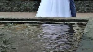 Прогулка молодых. Мироновка (16.06.2018г.)