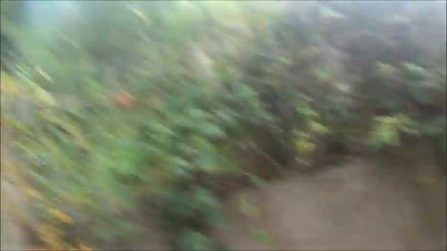 Mole control # 5 .. update смотреть онлайн