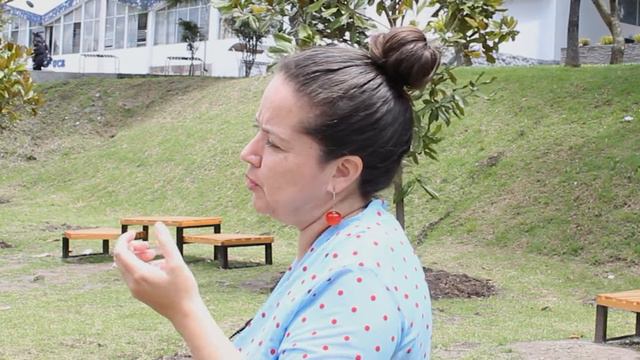 ¿Cómo se hizo el proyecto Magnolia. Cultivar la memoria, floreciendo? смотреть онлайн